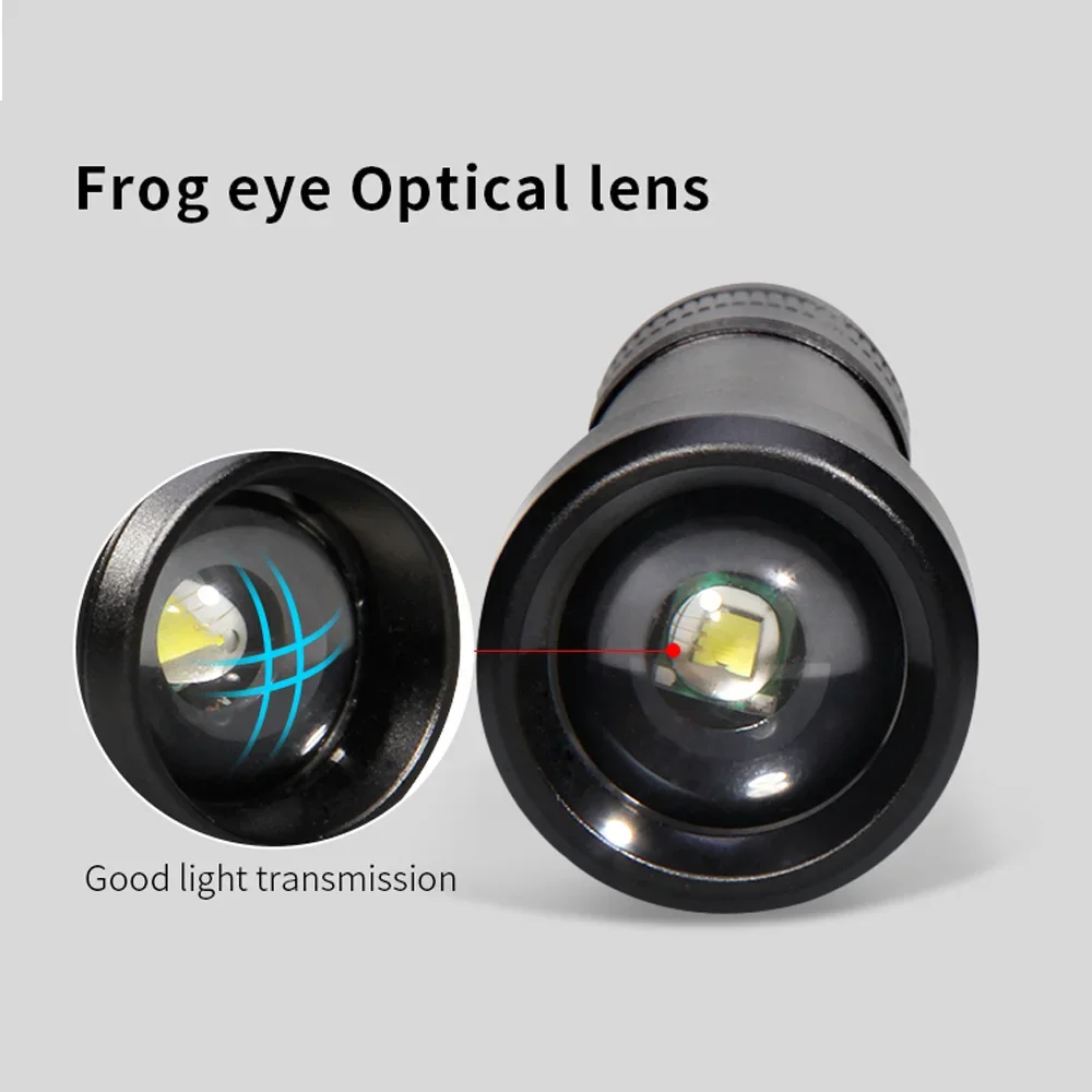 Lanterna LED Recarregável, Tocha Ultravioleta, Luz Roxa, Zoom Luz Negra, Pet Detector de Manchas de Urina, 1 Modo, 395nm, 18650