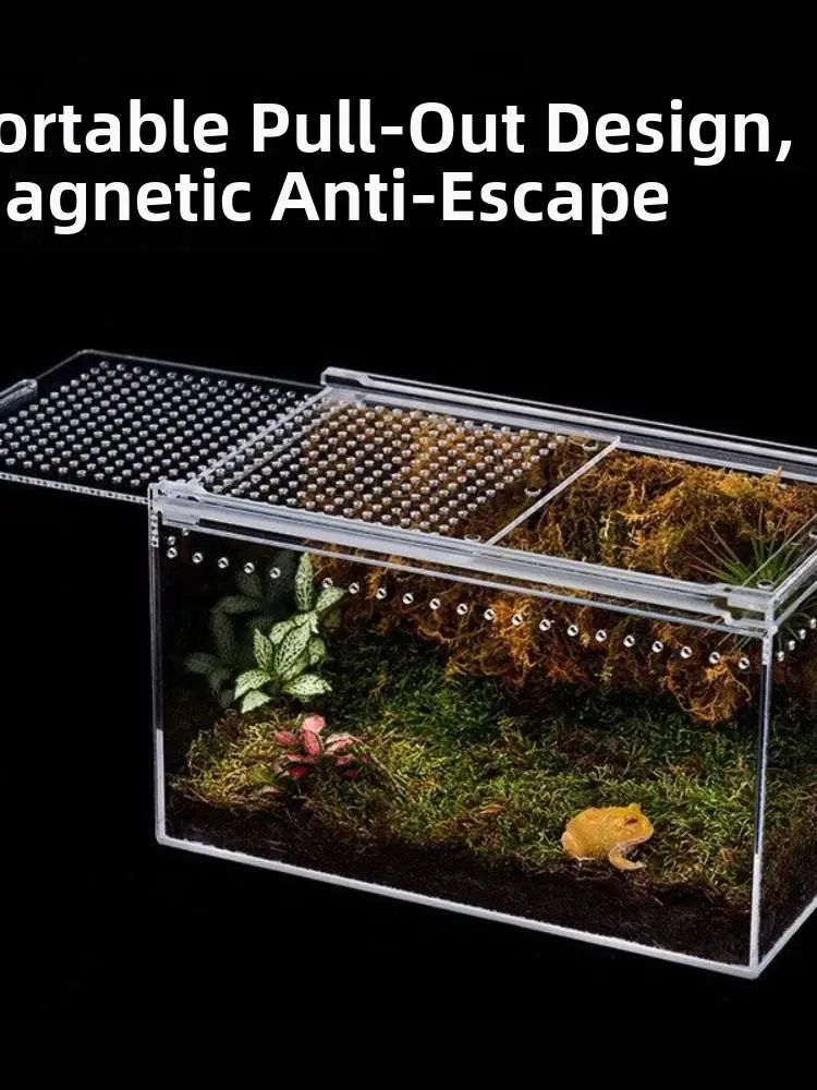 Przezroczyste terrarium dla gadów z akrylu, łatwe w montażu, wentylowany pojemnik do hodowli jaszczurek, zabezpieczone przed uciekami, siedlisko dla gekonów. — 2