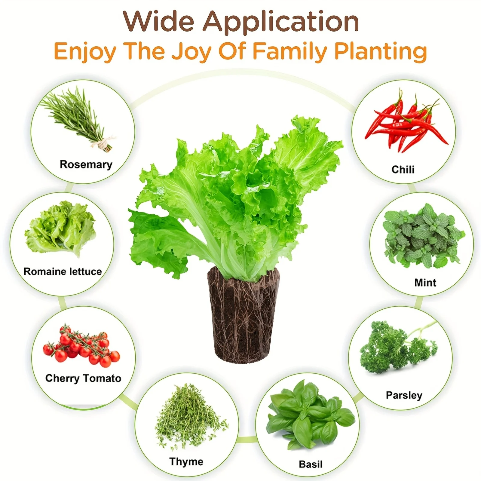Bahçe Örtüsü Yetiştirme Sünger - Plant Parenting incelemesi ve fiyatı