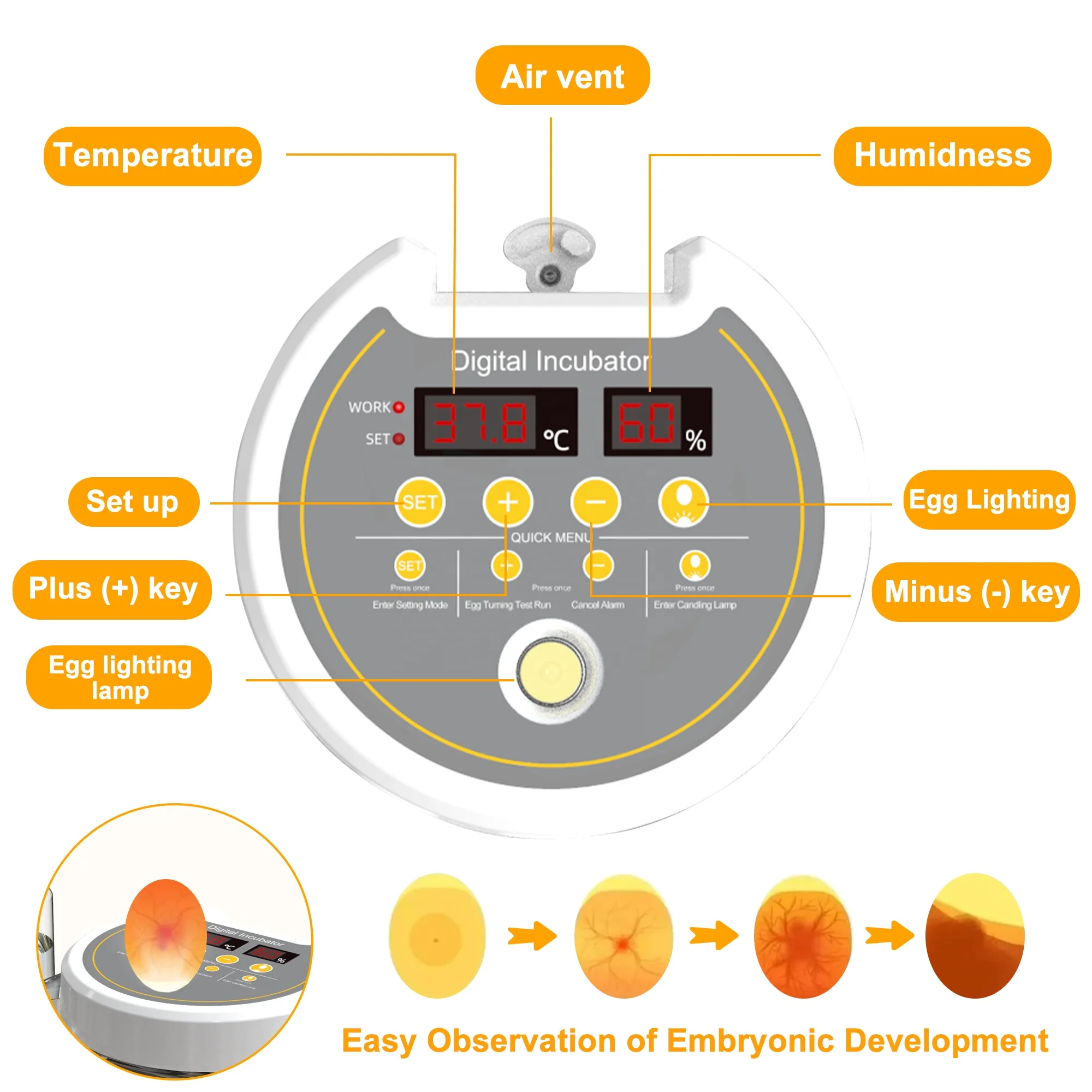 Factory direct supply 24 Egg Guinea Fowl 64 Full Automatic Chicken Eggs Incubator