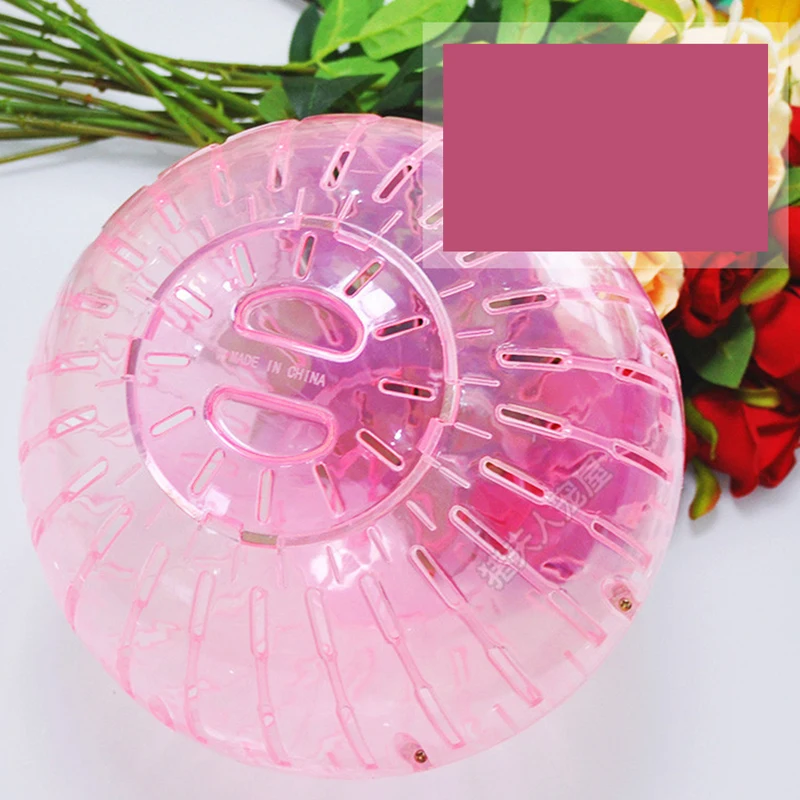 ^Pet Hamster Ball Toys Exercise Running Balls for Chinchilla Rat Mouse Products