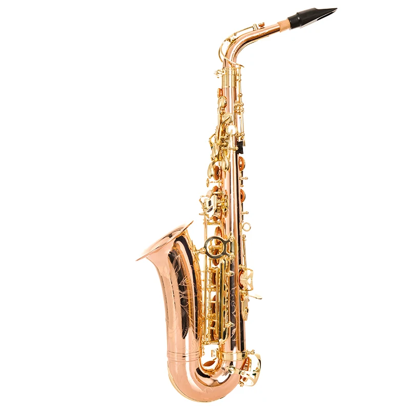 E-flat Alto Saxophone Wind Instrument with Double Mouthpieces Gold Lacquer Finish Brass Body Adjustable Performance Use
