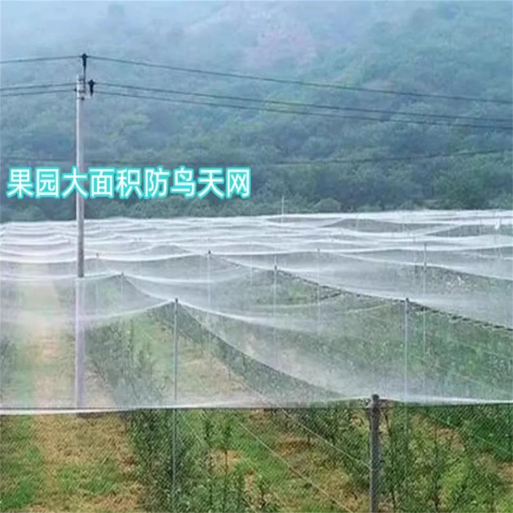 10m, 20m, Large Gardening Net Fishpond Bird Net Anti Defoliation Garden Protection Net Orchard Bird Net