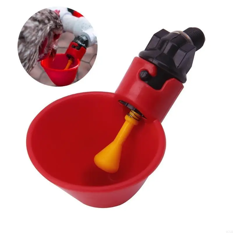 97QD Chicken Bird Waterer Cup Mangkuk Minum Mangkuk Otomatis Mengisi benang 3 inci