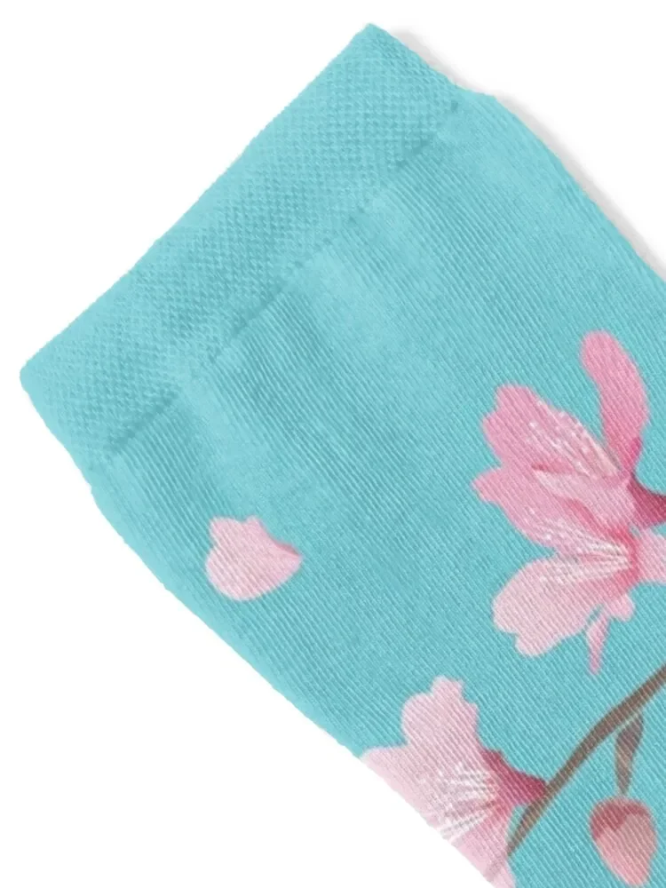 Cherry Blossom flower plant - Robin Egg Blue Socks retro custom sports Socks Women Men's