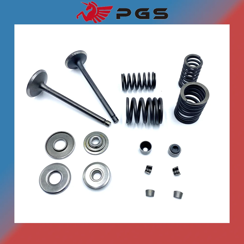 Pgs Ventiel Herbouw Kit Voor Bandito Beer Grunt 300 St260 Titan 300 Lu015157 Lu015158 Lu01515159 Lu015160 Lu015161 Lu015162 Lu015163