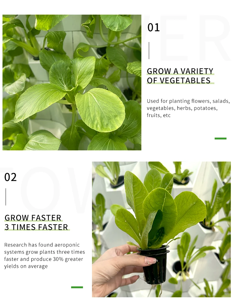 8/12 ชั้นผัก Hydroponics Tower Soilless ในร่มกลางแจ้งขนาดเล็กอุปกรณ์ปลูกแนวตั้ง Grow ชลประทาน Farming System