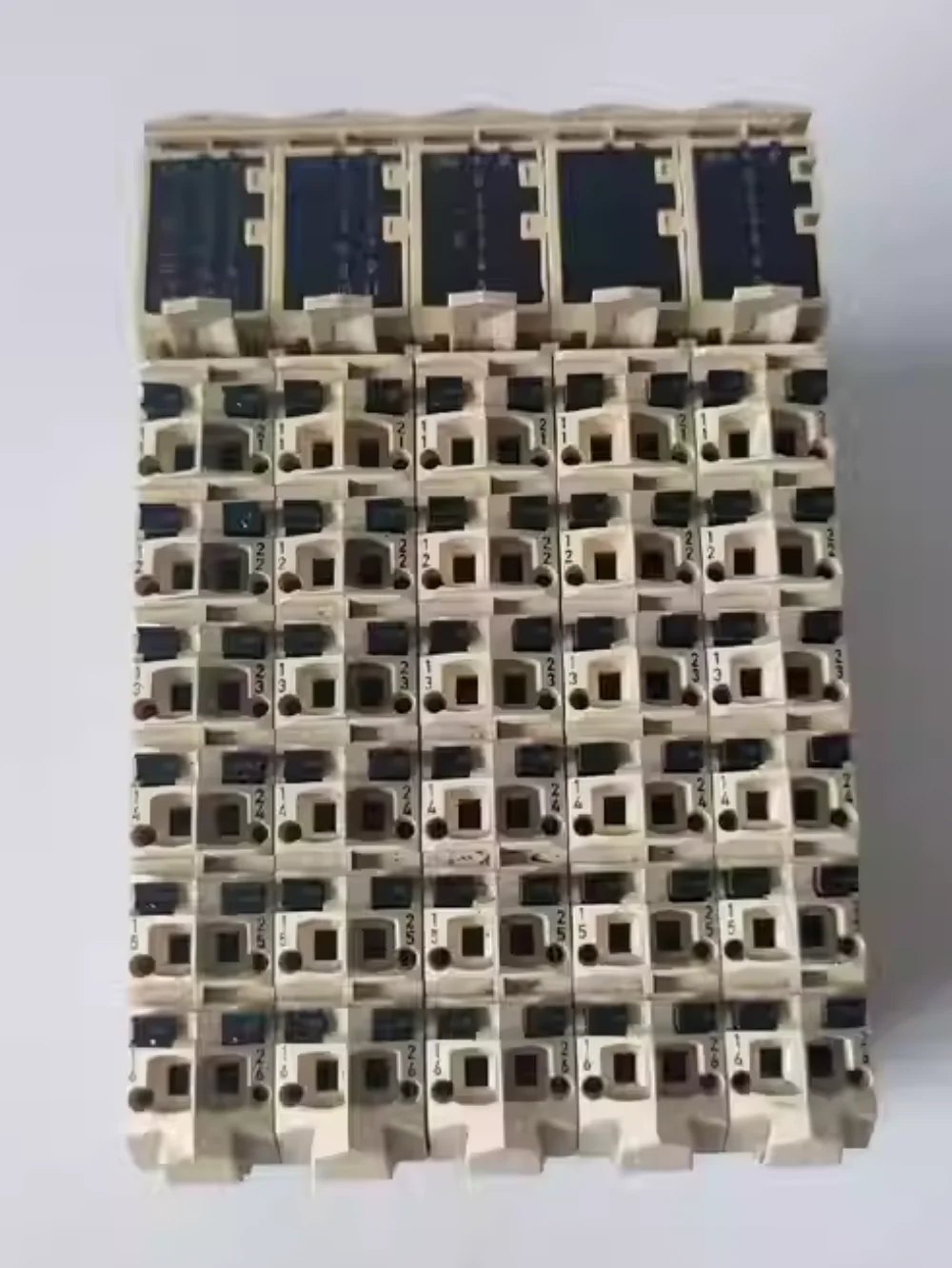 TM5C24D12R module