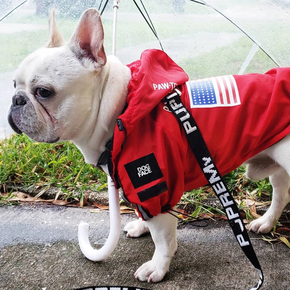 Dogface roupas para animais de estimação moda cão capa de chuva à prova de vento à prova dwindproof água jaqueta blusão francês bulldog reflexivo