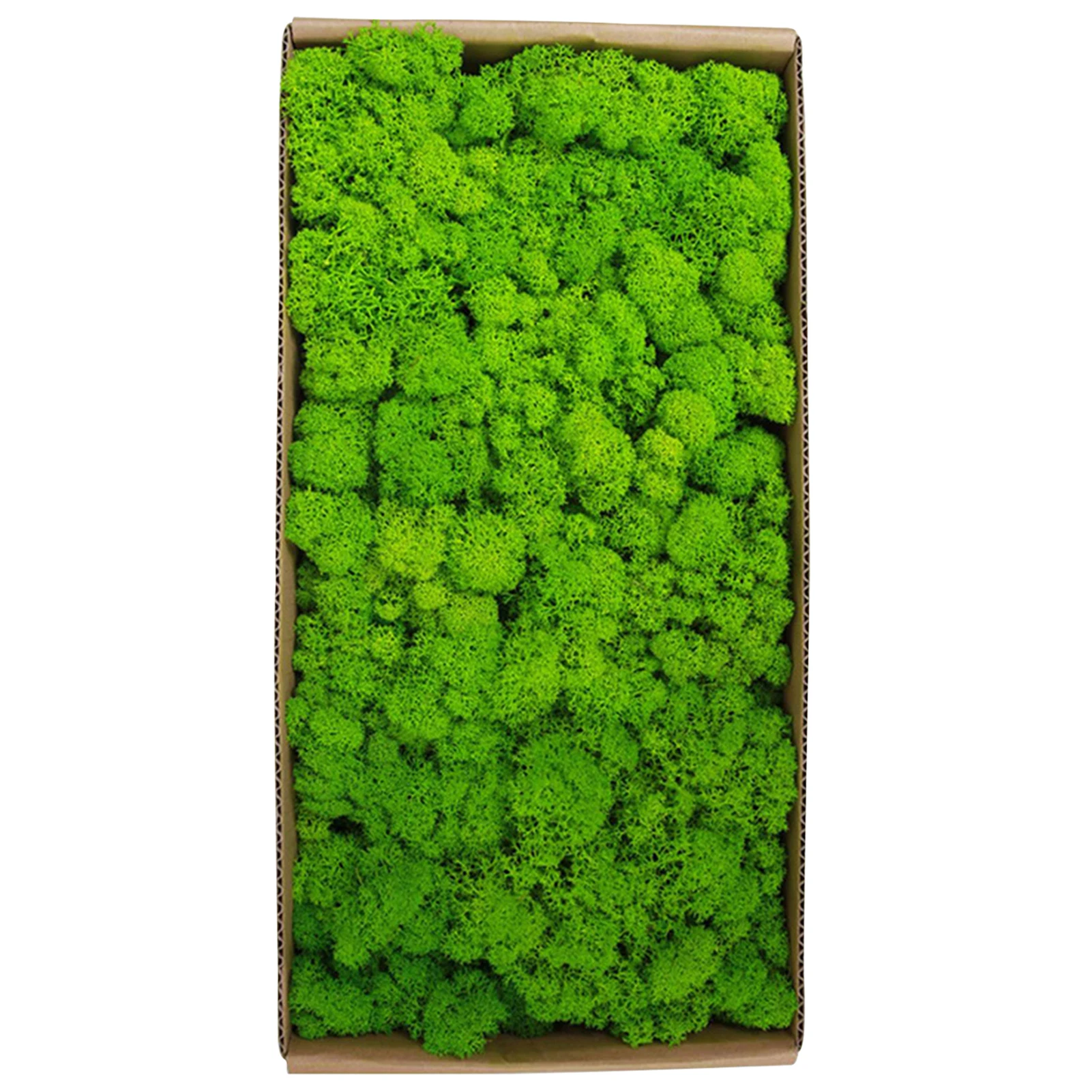 Preserved Moss Gardenning Art Wall Decor Moss Bulk Micro Landscape Decorative Props For Lining Baskets Covering Window Boxes