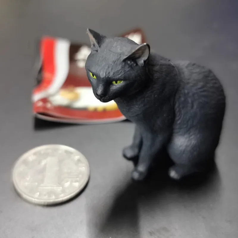 Originale KITAN CLUB Gashapon Cat Routine Black Cat Qversion Animal Action Figure Model Toys Gifts Cartoon Character Collection