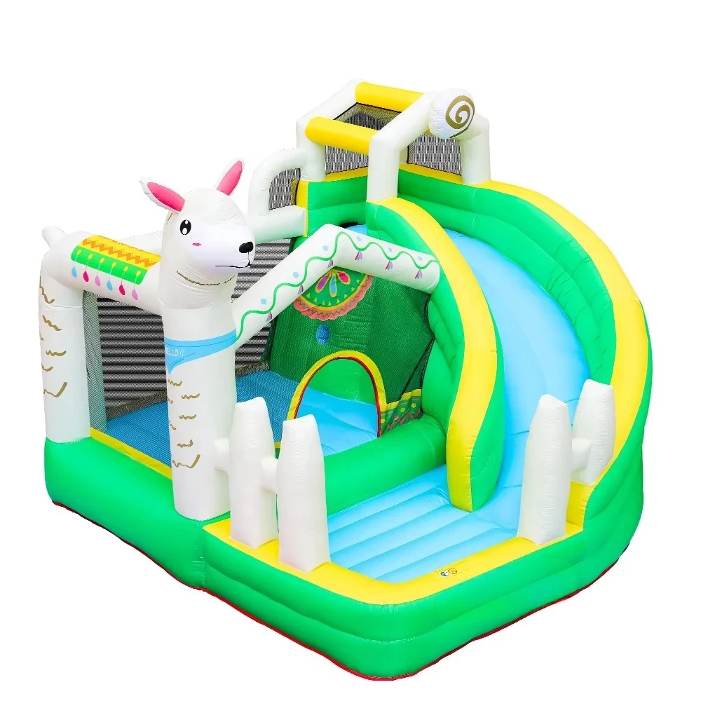Dolphin Doctor Inflatable Bodyguard Children's Oxford Slide Bounce House Jumping Castle Style