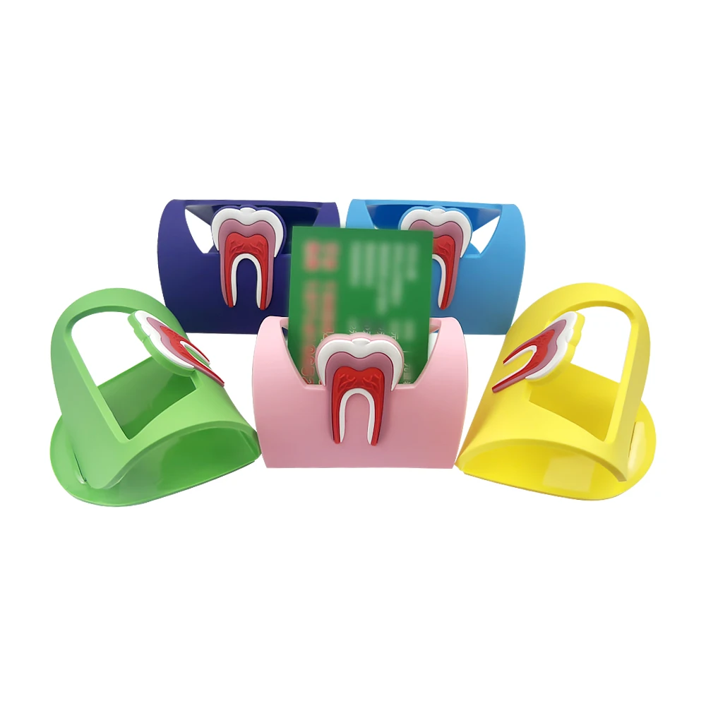 1pc Foldable Business Card Holder Dental Tooth Pattern Desk Place Card Box Case Display Dentistry Clinic Decoration Dentist Gift