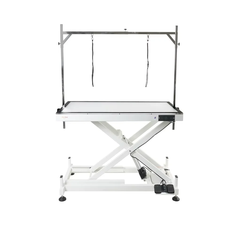 Iron LED Charge Electric Dog Grooming Table Double Scissor Lift 29-112cm 120kg Professional Pet with Arm