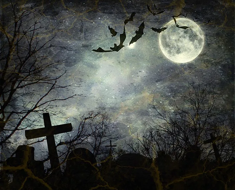 في الهواء الطلق مصابيح اليقطين التصوير الخلفيات ، هالوين الديكور ، عيد ميلاد خلفية الصورة ، أطفال استوديو الدعائم