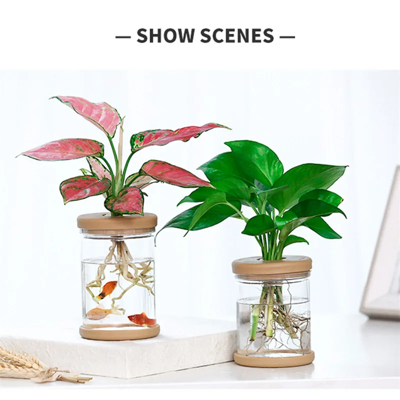 냄비 모조 유리 꽃병 심기 작은 화분에 심은 녹색 식물 꽃병
