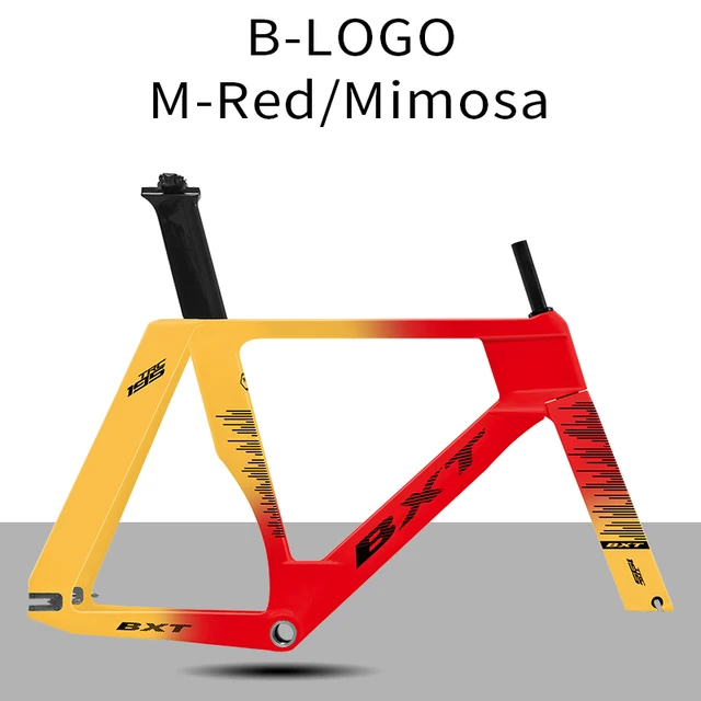 BXT 195 T1000 Carbon Track Frame Fixed Gear Track Bike Carbon