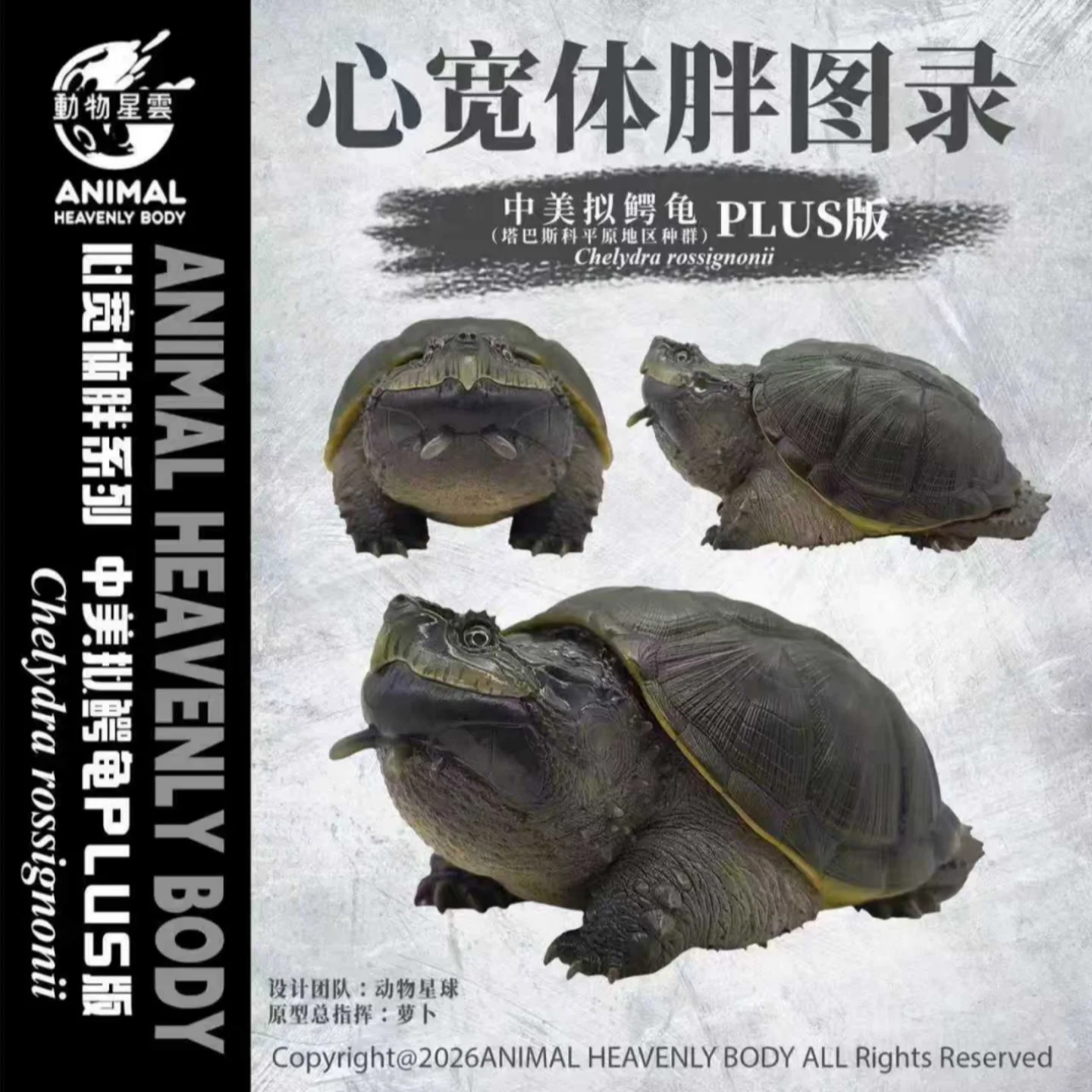 Figura de Resina Realista de Tortuga de Agua Dulce Centroamericana (Chelydridae) de la Serie Animal Heavenly Body, Forma Tabasco, Producida en 2026