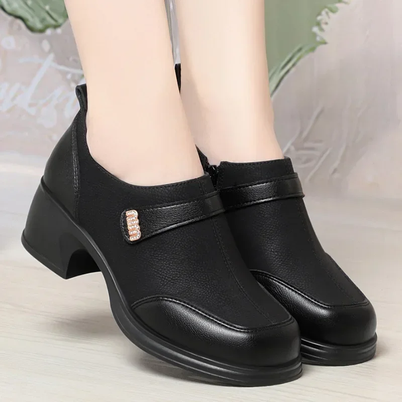 2024 New Slip On Spring Soft Shoes Woman Vintage Ladies Dress Pumps Thick High Heels Platform Shoes Retro Brown Daily Mom