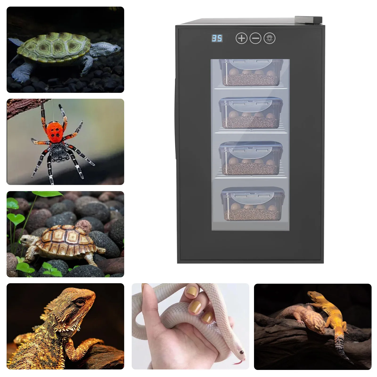 

Reptile Incubator 23L Scientific Lab Digital Incubator Precise Temperature Control ( 50℉~104℉) Reptile Egg Incubator 110V