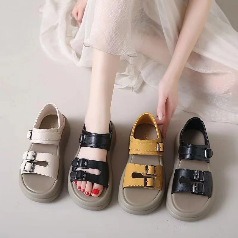 

French style two wearing sandals for women in summer 2024. New style slippers with thick soles and skirts for external wear. Wom