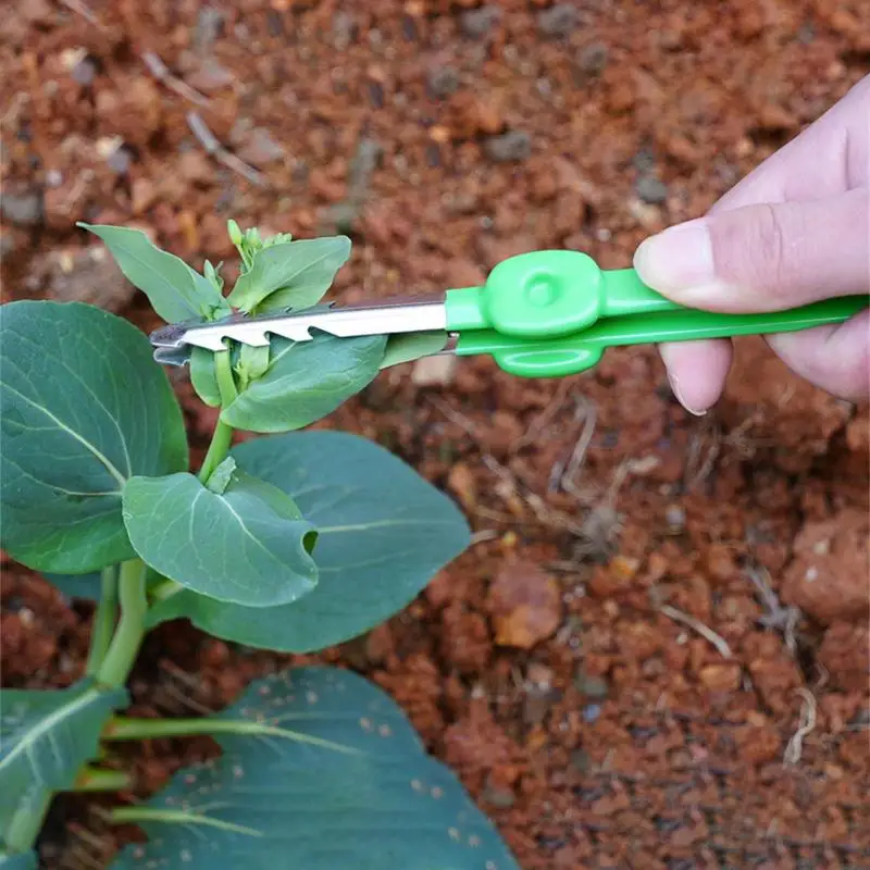 Gartenarbeit Pinzette Multifunktions Gebogene Gezackten Präzision Pinzette Bonsai Sukkulenten Pflanzen Beschneiden Jäten Pinzette Garten Werkzeuge