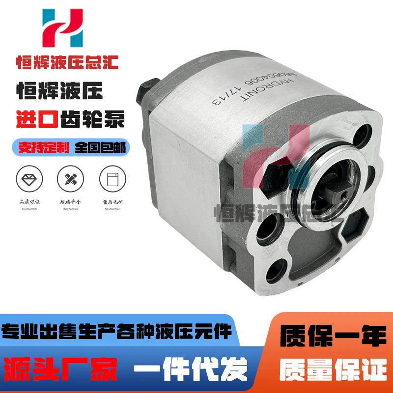 

Шестеренный насос E60604006 Гидравлический насос E60604010 Масляный насос высокого давления E60604008