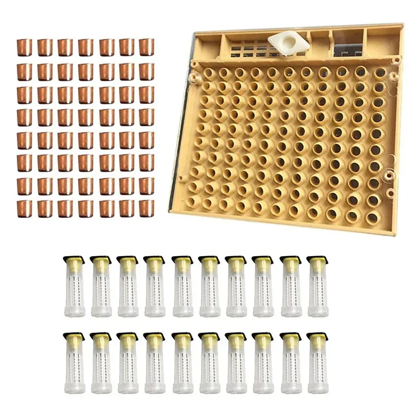 1 Set Queen Rearing System Kit King Cultivating Box Queen Bee Breeding Box Queen Bee Cage Bee Cell Cups Beekeeping Tools