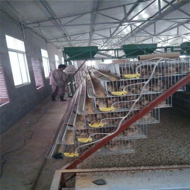 New Features Layer Quail Breeding Cages For Sale With Feeder And Drinker