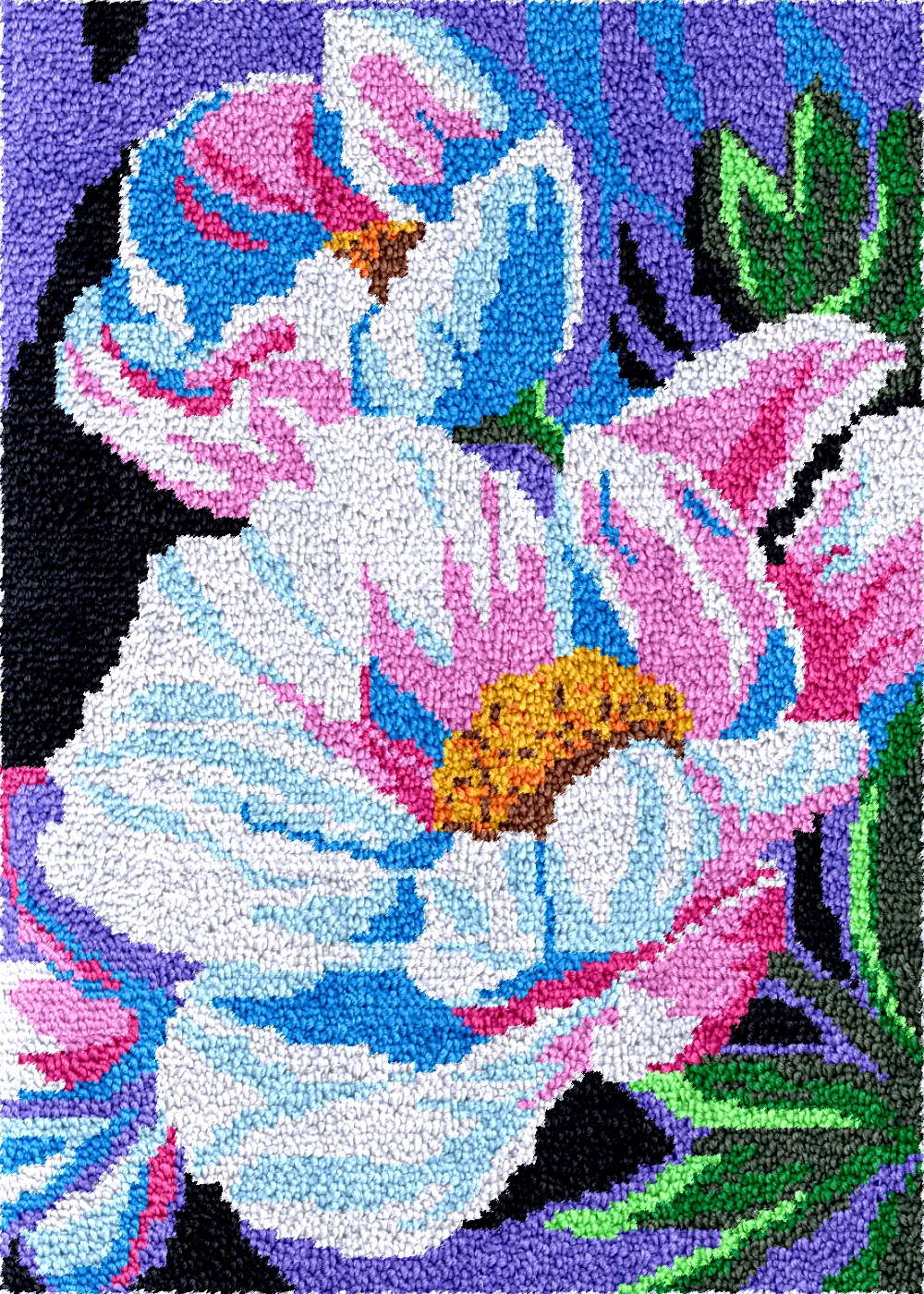 

Flowers latch hook kits rugs carpet embroidery set Hobby crafts accessories plastic canvas bag Knot package rugmaking kits