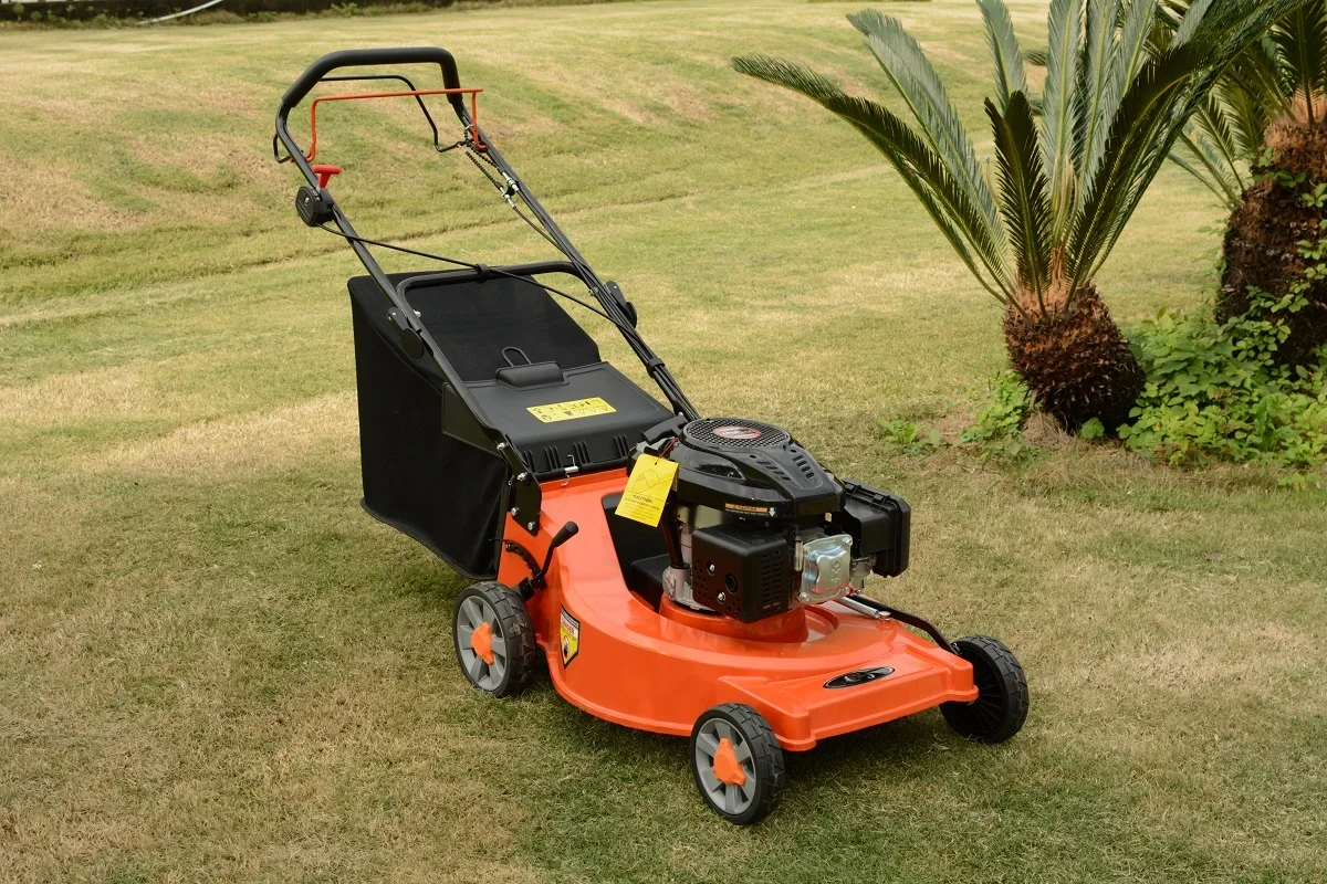 Garden lawn mower 22 inch and self propelled walk behind lawn mower CJ22GZZL196-AL with aluminum deck