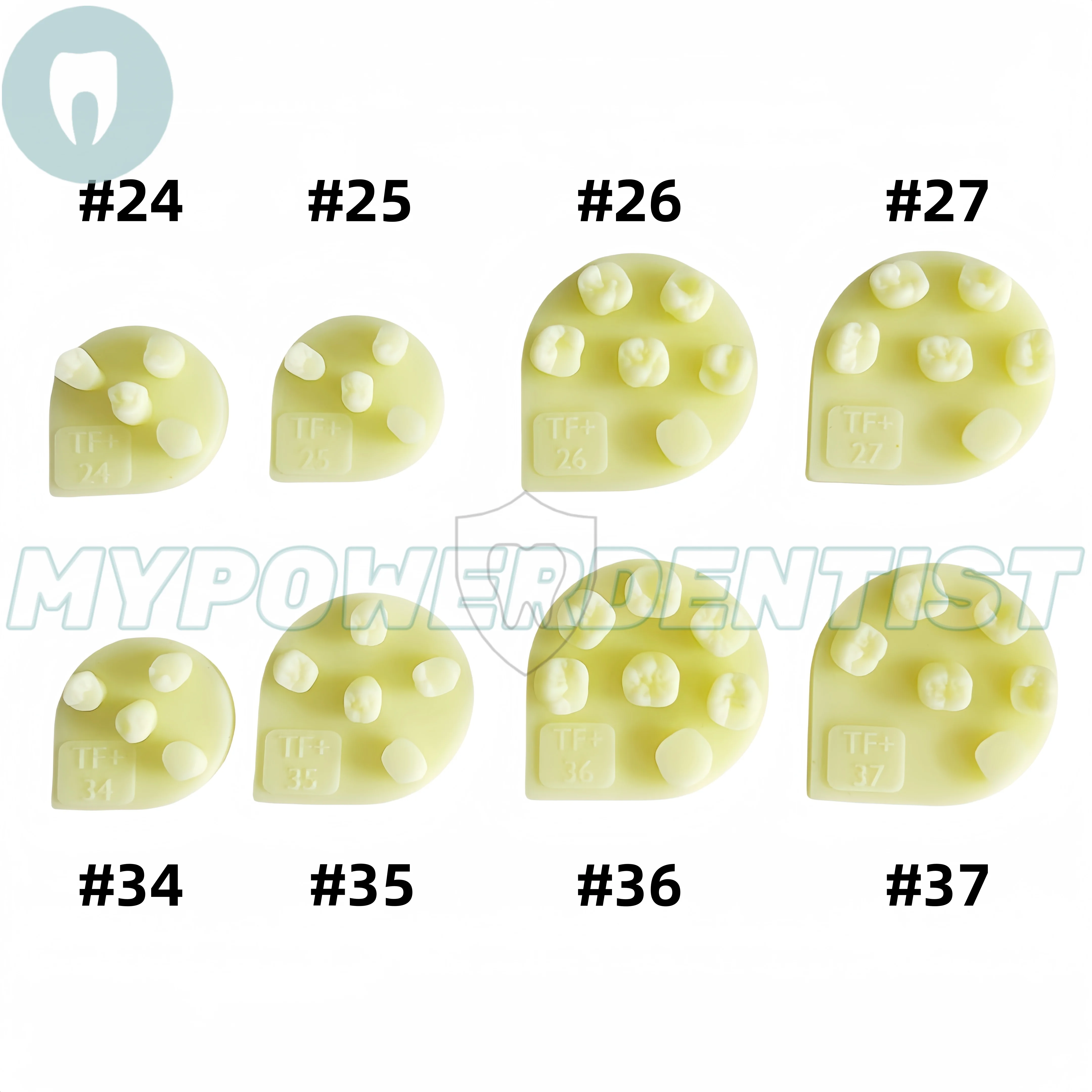 8 ชิ้นทันตกรรมเรซินคอมโพสิตบรรจุการปฏิบัติกรามรุ่นทันตกรรมนักเรียนทดสอบ