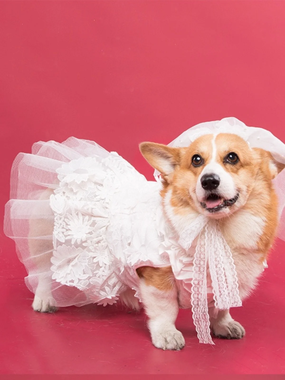 Dog Yarn Skirt Wedding Dress Cat Pettiskirt Corgi Photo Clothes