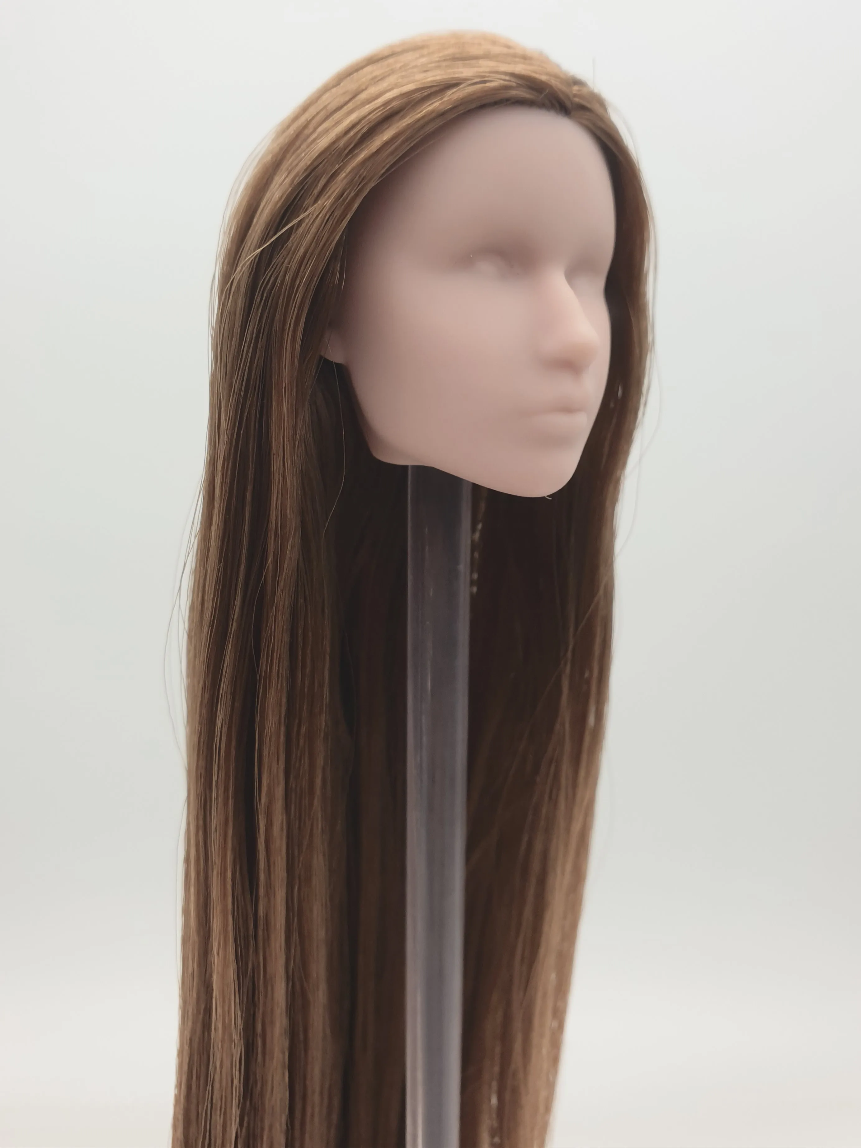 Fashion Royalty 1:6 Scale American Horror Story Zoe Benson Blank Face Brown Hair Rerooted Integrity Doll Head