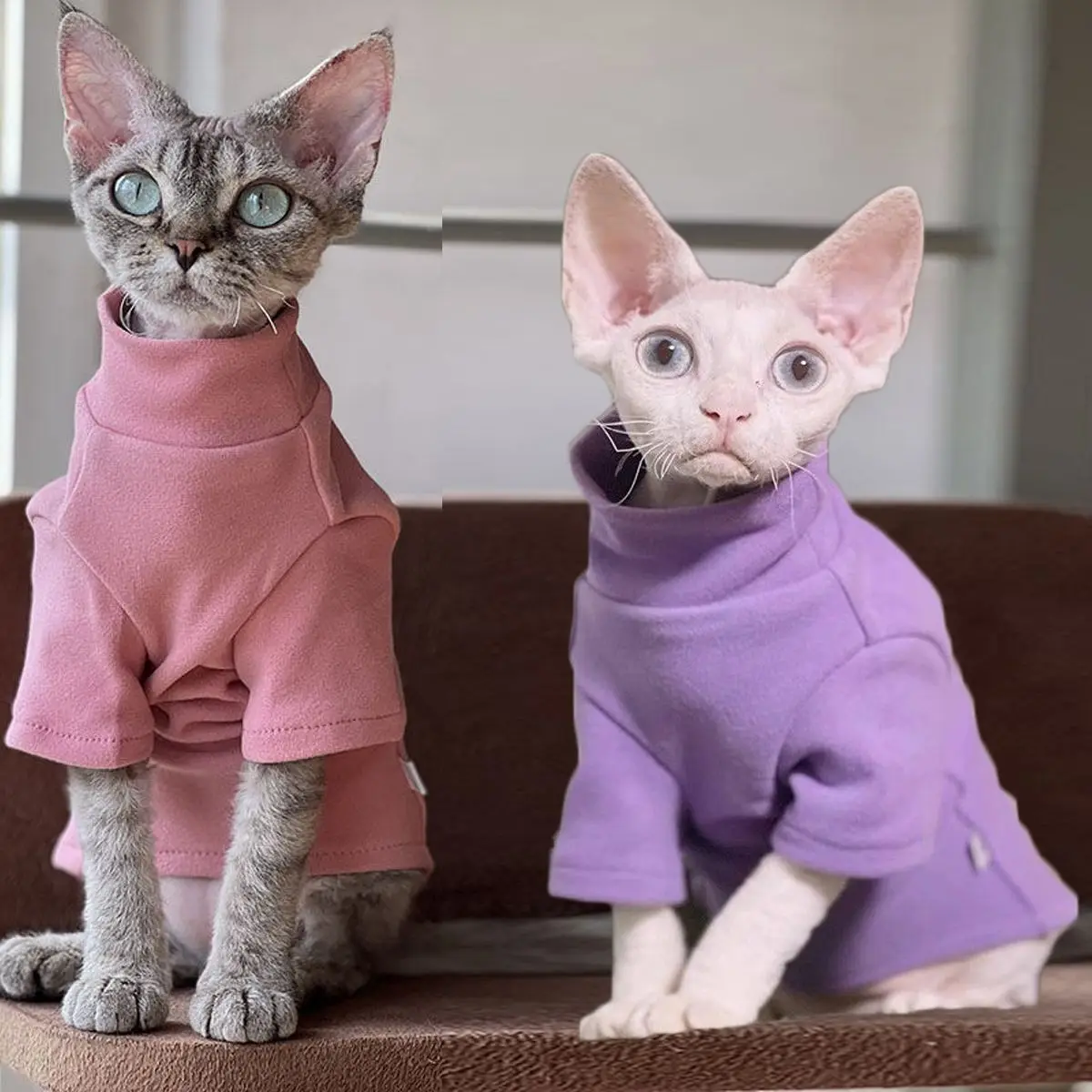 Immagine 4: Maglietta a collo alto calda per gatti senza pelo, con fondo morbido, per primavera, autunno e inverno, per gatti Sphynx e Devon Rex