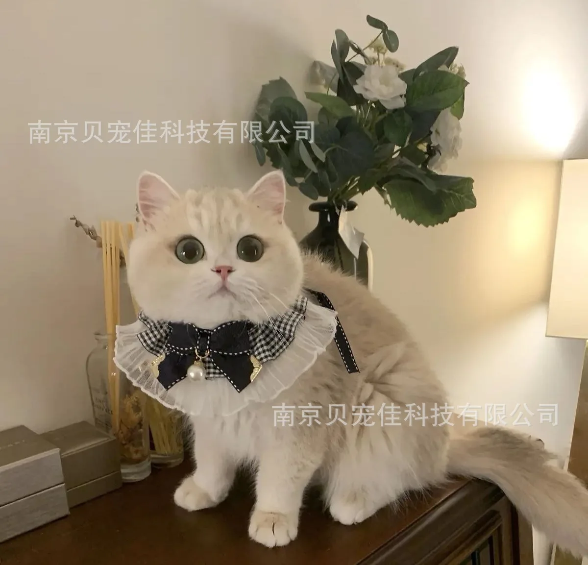 Cat Saliva Scarf Cat Accessories Dog Collar Pet Bows Tie Wool for Small Dog Necklace Satin New Kitten Puppy Accessories