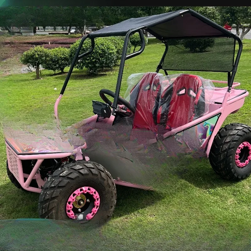 Parent-child double quad motocross family kart