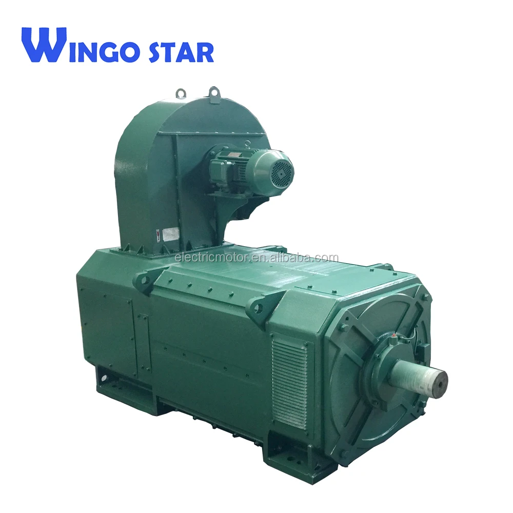 DC Induction Motor