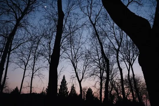 

RC Part 65mm Wheel Tyres Tires 12mm Hex Rim Durable Rubber for 1/10 1/12 1/14 RC Car Racing Competitable Wltoys 144001