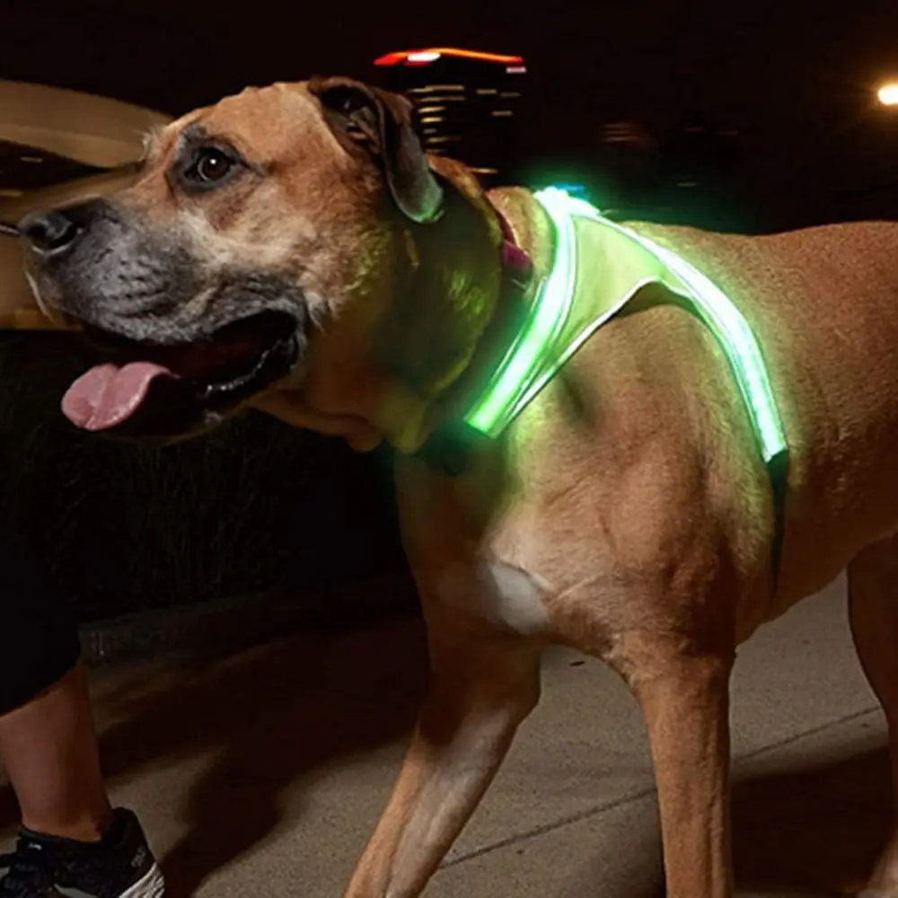 

Adjustable LED Light Up Dog Harness Glowing Rechargeable Pet Harness Leash Breathable Safety Pet Vest Harness