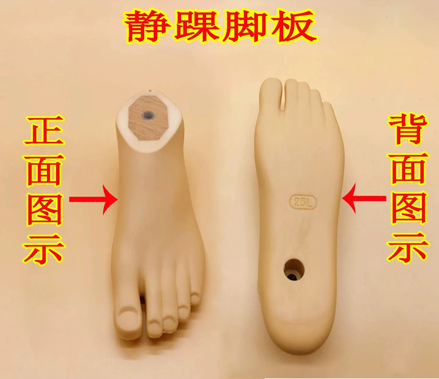 Prosthetic Foot Board Static Ankle 22～27cm Accessories Parts Artificial Limbs Ortheses Prostheses Sockets Fasten
