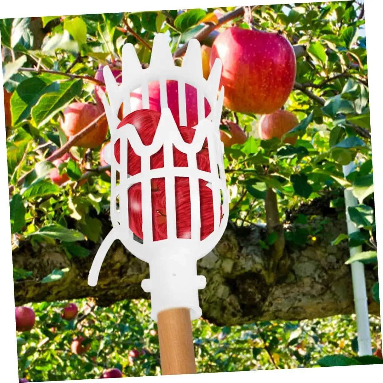 

Сборщик фруктов Pp Аксессуары Winter Jujube Work Acesorios para cocina Лопатка для рыбы Accessoire cuisine Espatula para barbacoa Tong