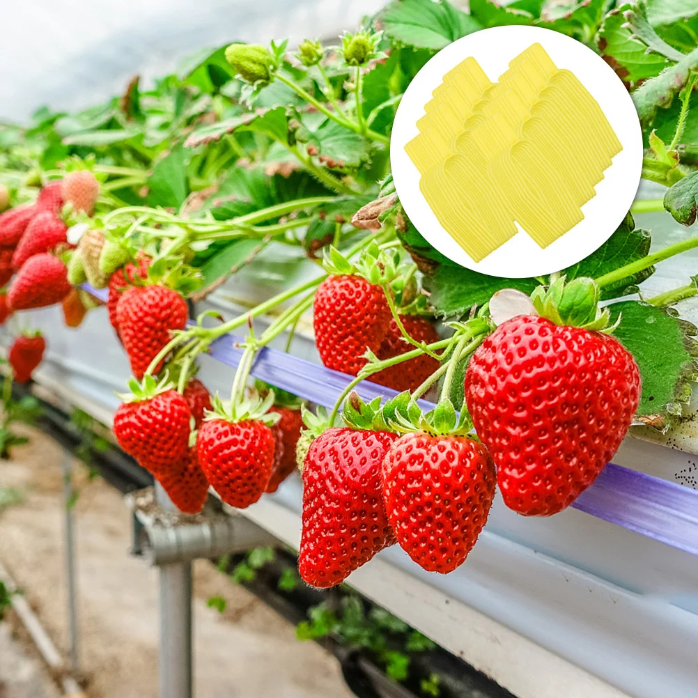 

100 pcs Plant Vine Fixed Forks Durable Pp Press Tool For Strawberry Watermelon Stolon Crops Garden Support Clamps Greenhouse