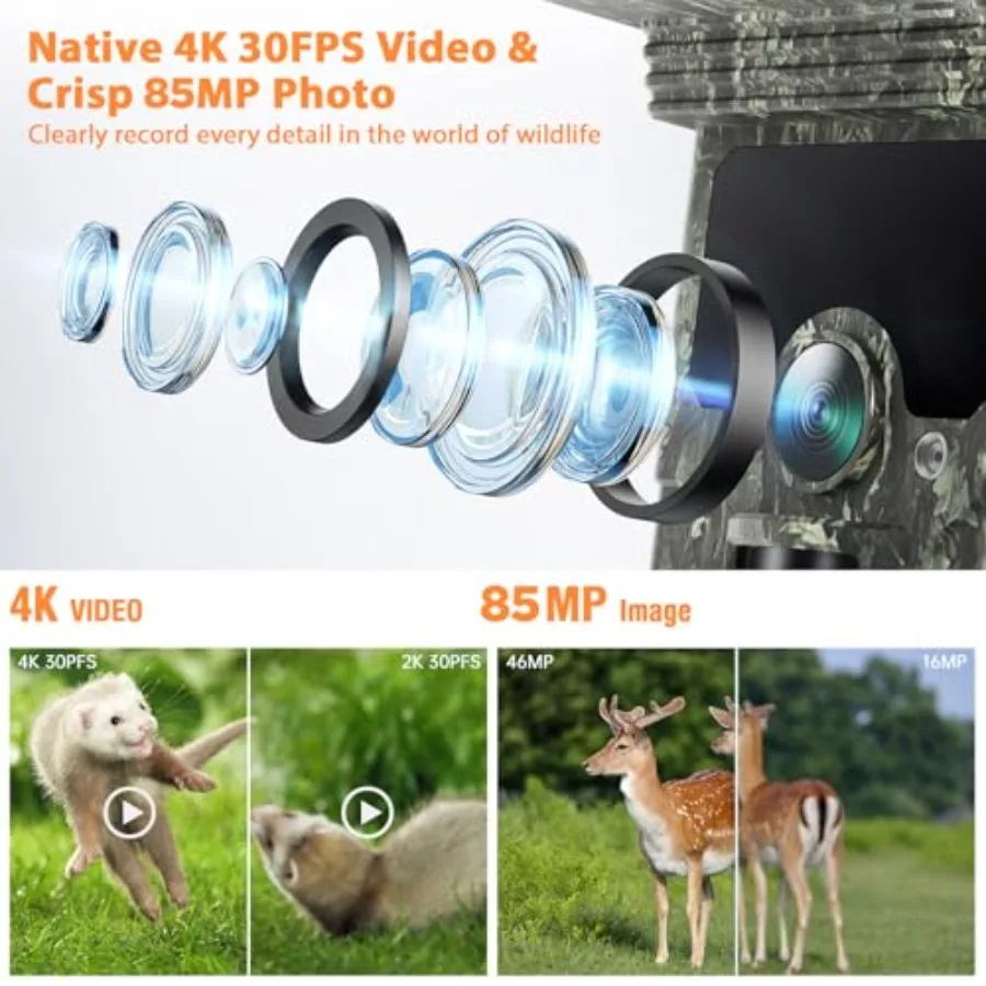description