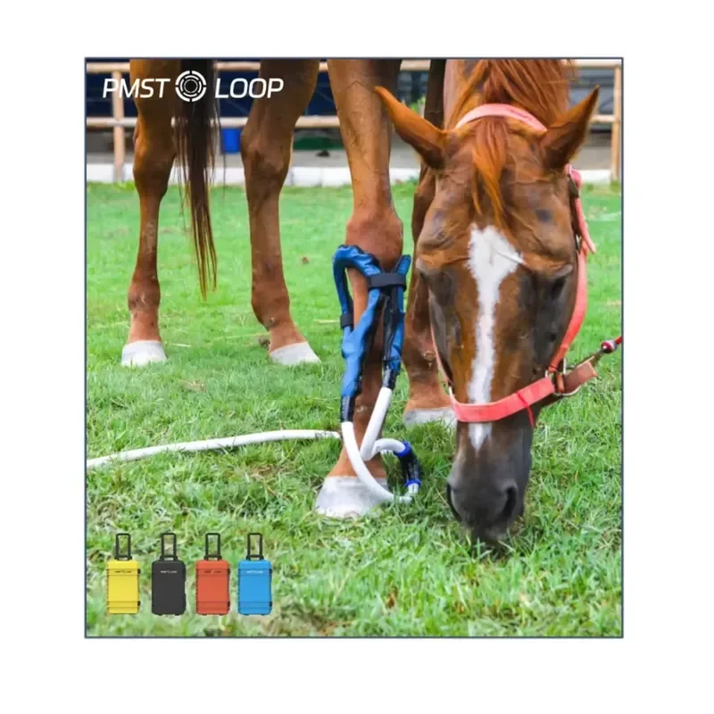 Dispositivo Pemf A Campo Elettromagnetico A Impulsi Magnawave Ad Alta Potenza Pmst Loop Per Fisioterapia Umana E Animale-image
