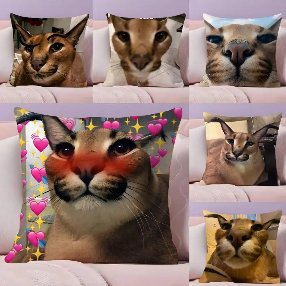 Floppa Cat Meme غطاء الوسادة نسيج قطيفة ناعم على الوجهين مطبوع أريكة شتاء دافئ هدية المنزل كيس وسادة #1