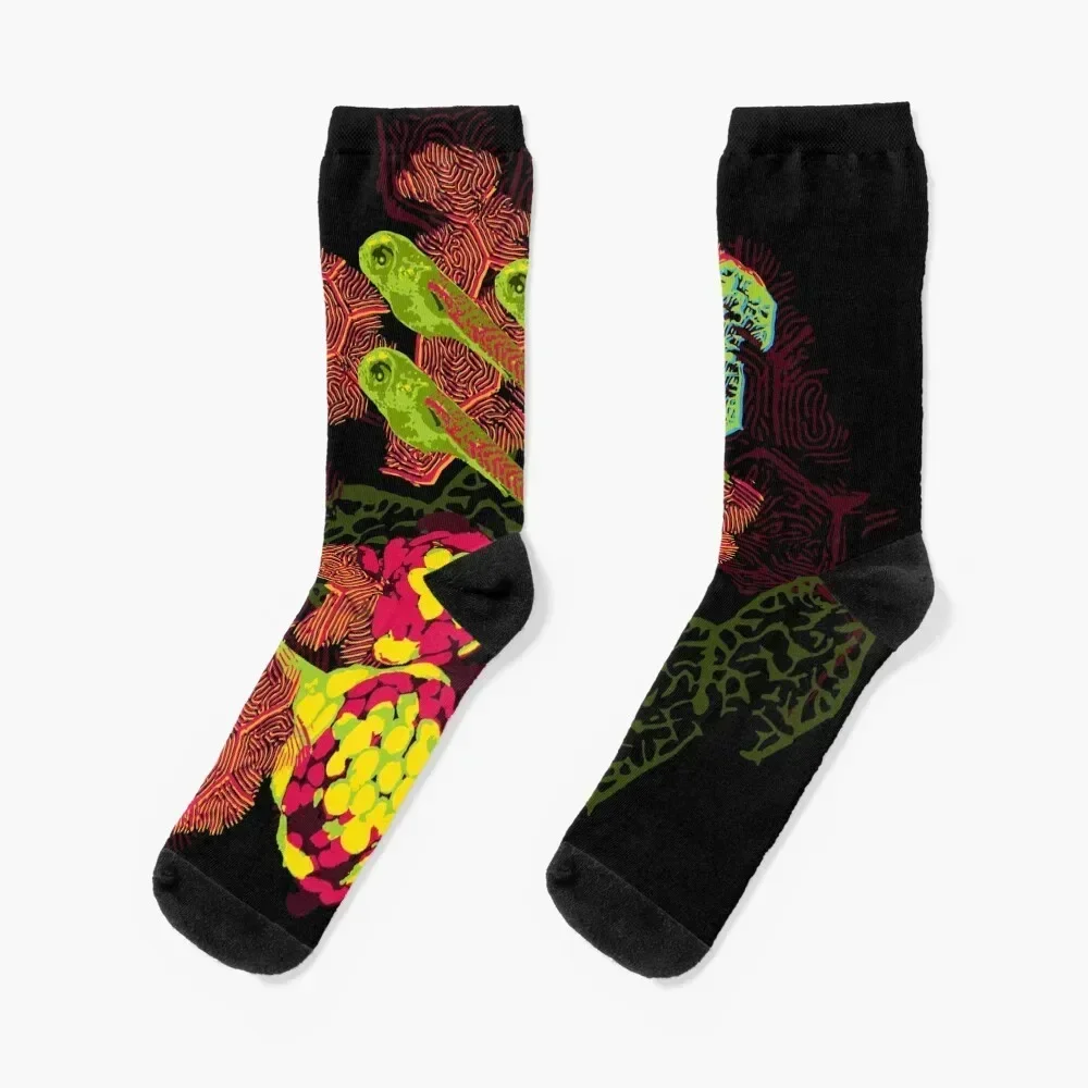 

Zebrafish Fluorescent Staining Socks sports and leisure luxe warm winter Toe sports Socks Men Women's