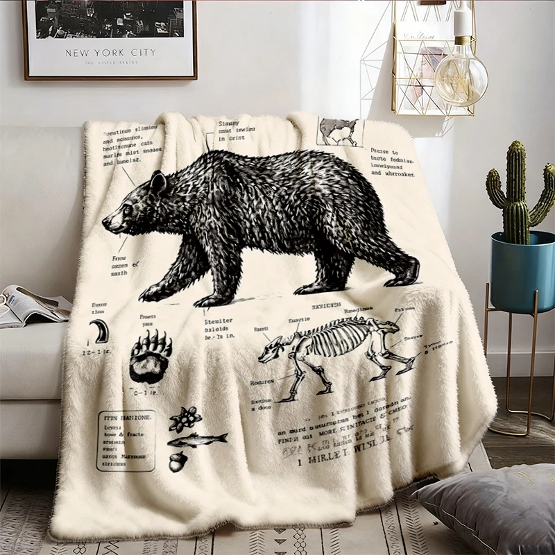 Black Bear Anatomy Soft Blanket Vintage Wildlife Illustration, Paw Print Diagram
