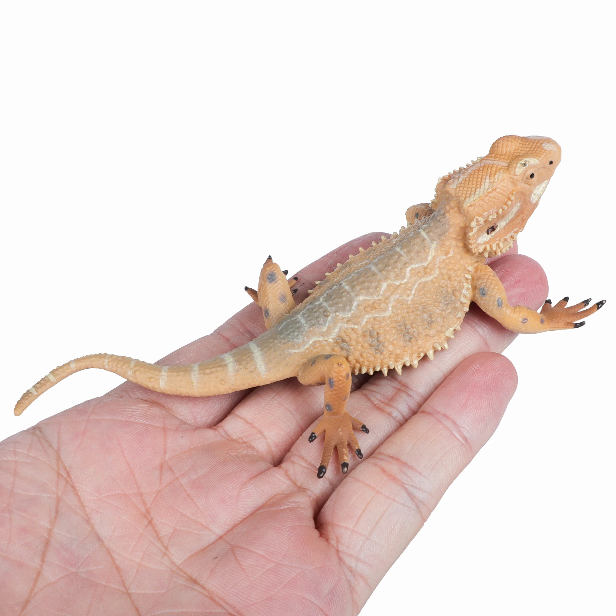 Figurka Jaszczurki Komodowej - Realistyczny Model Igwany Morskiej - Zabawka Edukacyjna dla Chłopców, Dziewcząt i Dzieci w Wieku 3+