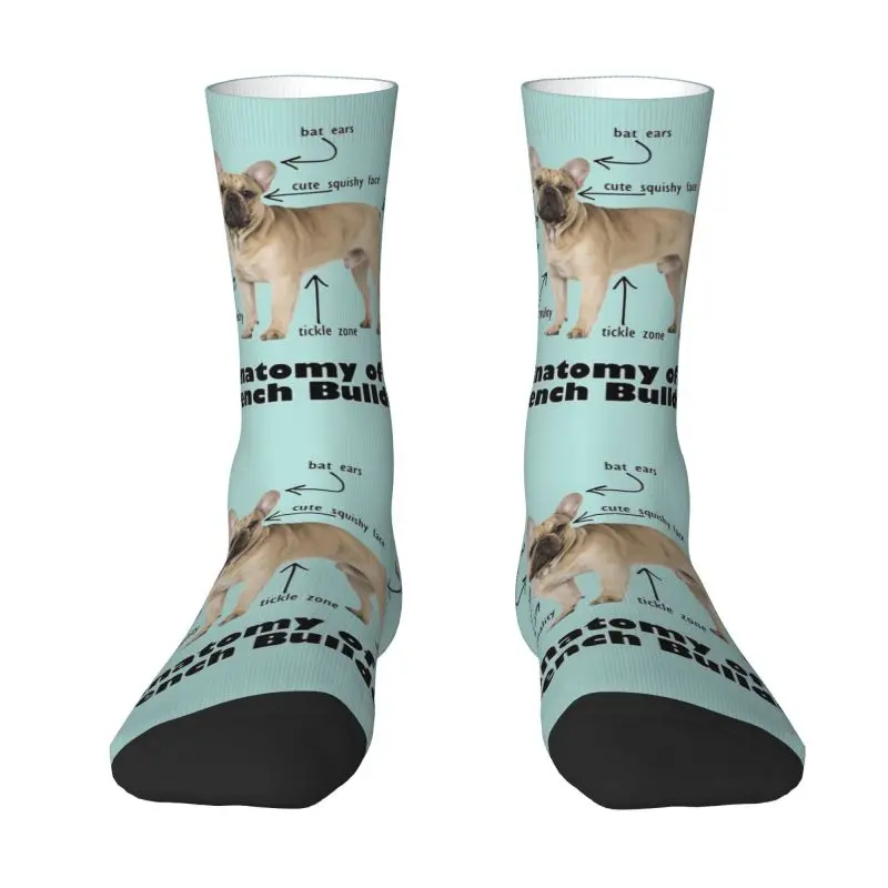 

Novelty Men's Anatomy Of A French Bulldog Dress Socks Unisex Comfortable Warm 3D Print Pet Dog Puppy Crew Socks
